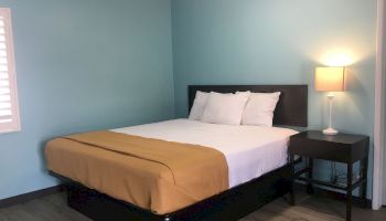 A bedroom with light blue walls, a bed with white linens and a yellow blanket, a black nightstand, and a lamp on the nightstand, and wood flooring.